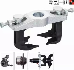 VIGOR v4491 -  