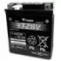 YUASA ytz8v -  