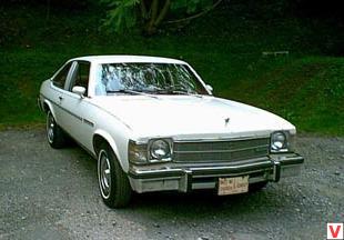 Buick Skylark 1976 года