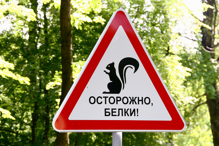 Театрализованное шествие на Фестивале тюльпанов